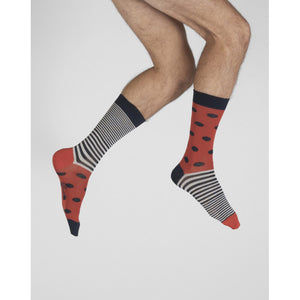 Chaussettes Homme - Pois et Rayures